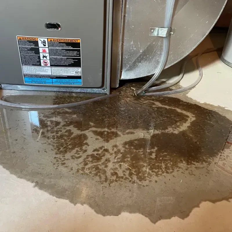 Appliance Leak Cleanup in Frostburg, MD